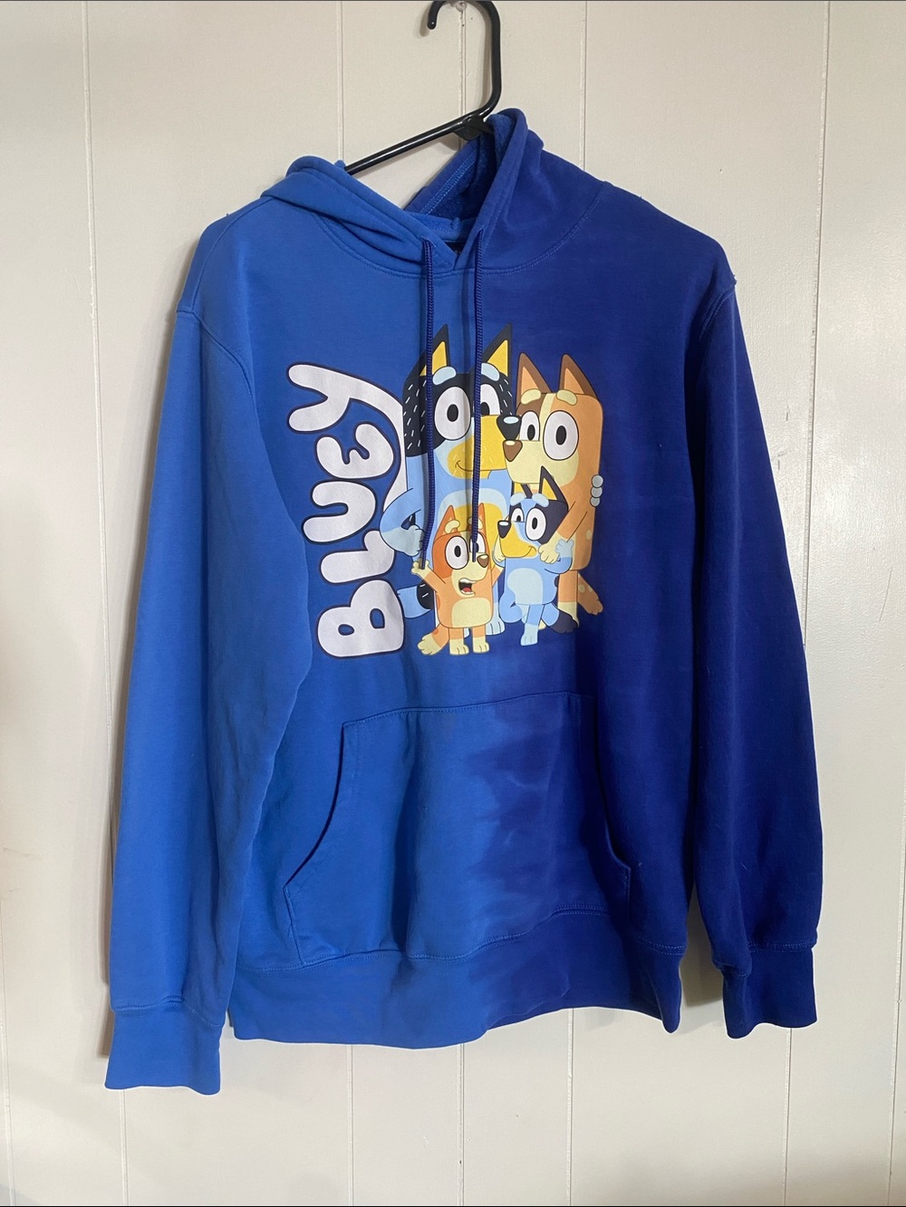 Bluey Branded Blue Pullover Hoodie